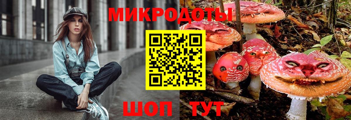 Псилоцибиновые грибы Psilocybine cubensis Ковров