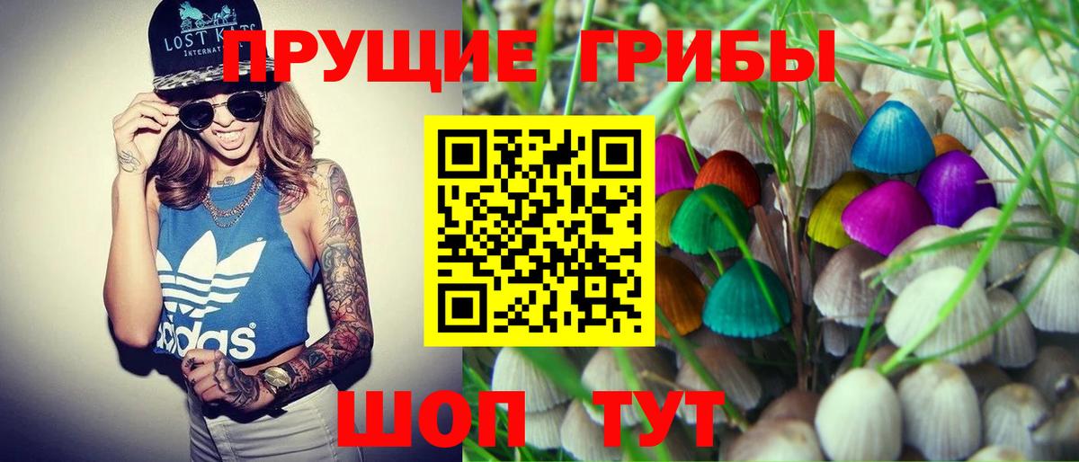 Ковров  даркнет сайт  Вход с VPN  Псилоцибиновые грибы Magic Shrooms 